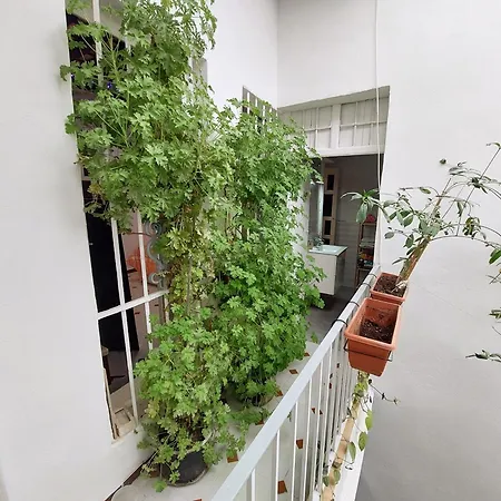 Casa Madre Gelart Patrimonio Gaditano Del Siglo Xix * 圣费尔南多